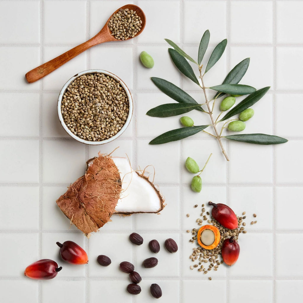Hemp seeds, palm fruits, and coconut pieces rest on a tiled surface alongside olive branches. This flat lay represents natural ingredients, ideal for sustainable soap production and eco friendly skincare solutions [2 oz, 3.4 oz, 4 oz, 8 oz, 16 oz, 32 oz, 1/2 Gallon, 1 Gallon]